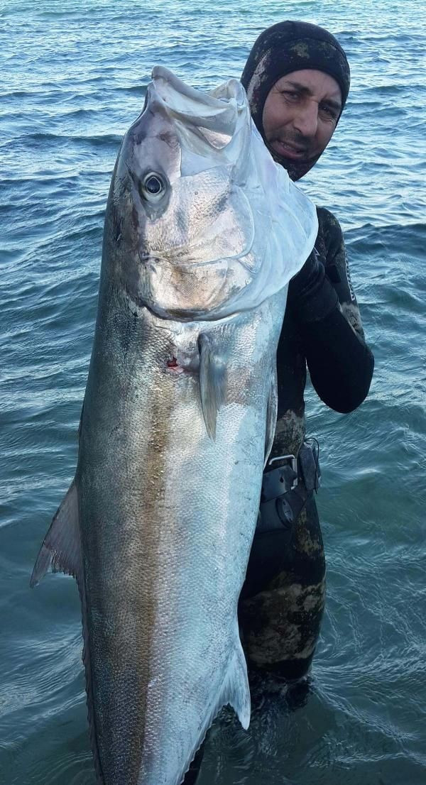 Tüpsüz daldı türünün en büyük balığını avladı! - Resim: 3