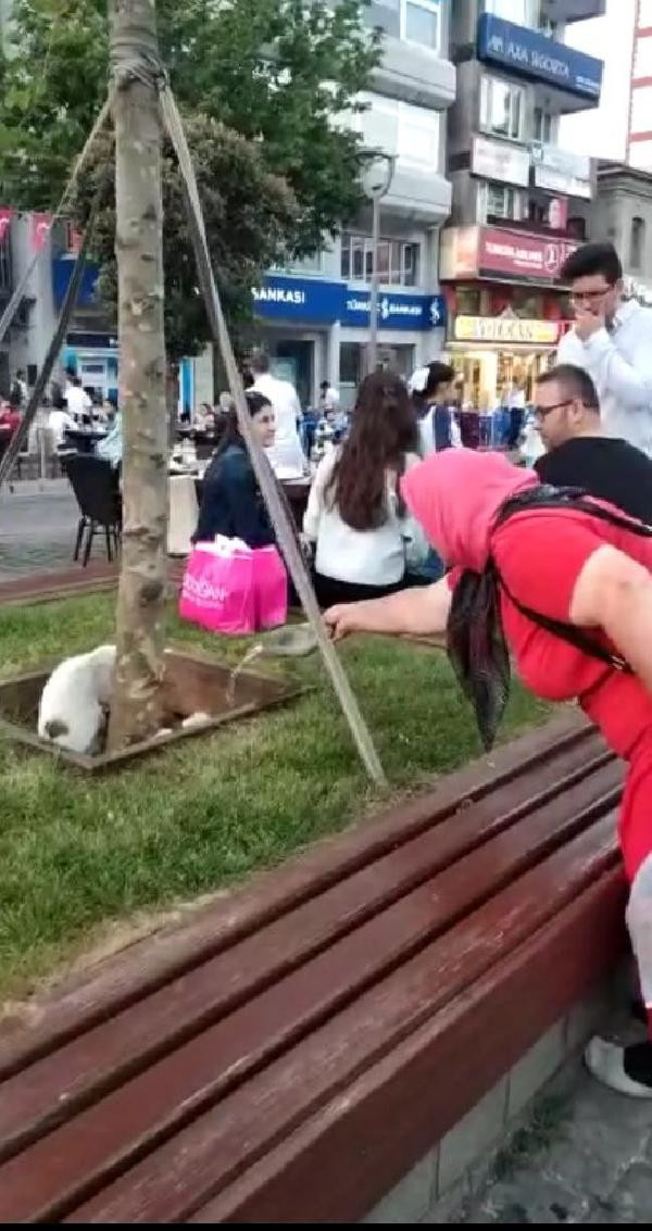 Bu görüntü çok sevildi! Lastik ayakkabılı kadın havuzdan...  - Resim: 2