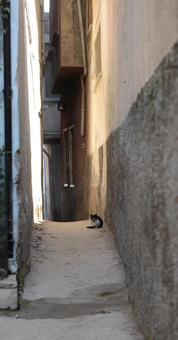 Hatay'da gören hayret etti telefona sarıldı! Çete savaşları burada yapılmış - Resim: 3