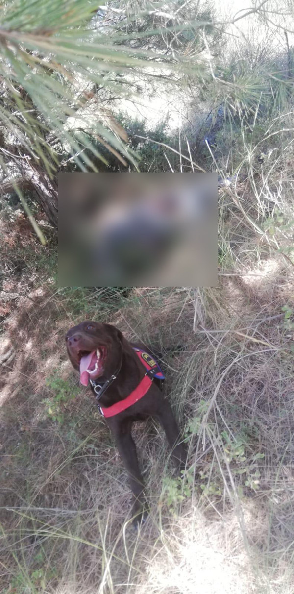 Tekirdağ'da 8 gün sonra acı haber geldi! Ölmeden önceki son sözleri bakın ne oldu - Resim: 0