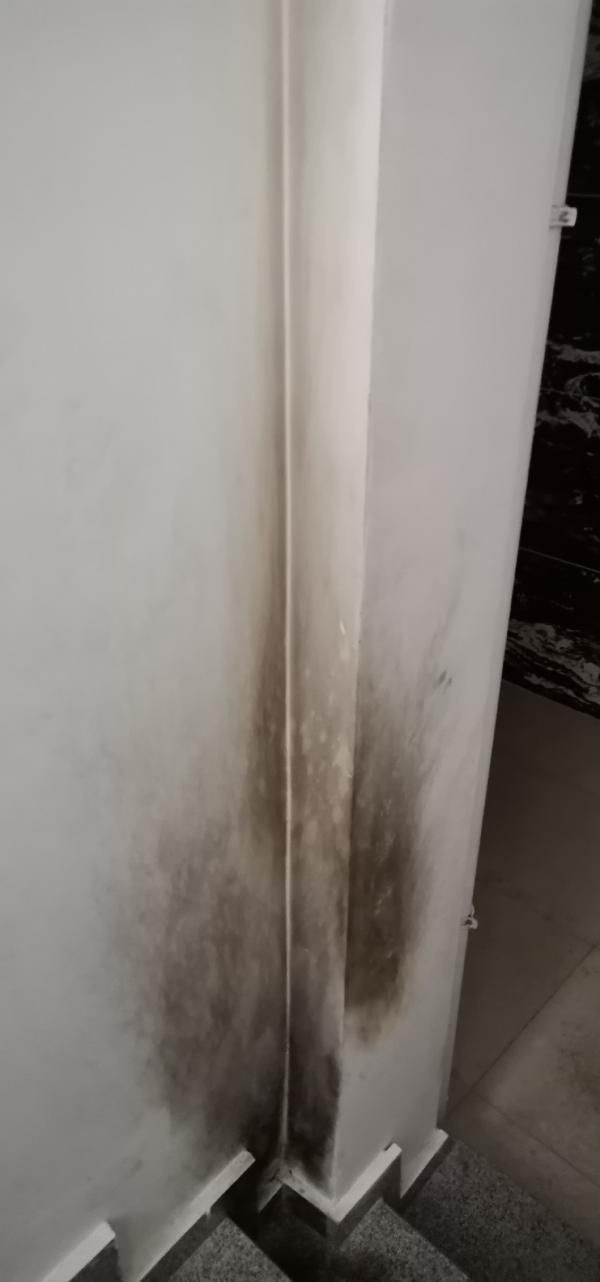 Ordu'daki vahşet! Eski eşini evinin önünde yakan koca yakalandı - Resim: 1