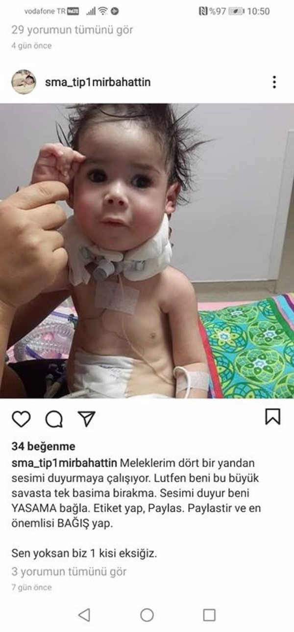 Antalya'da acılı baba bu fotoğrafı görünce şok oldu: Çok ciddi rakamlar toplanmış olabilir - Resim: 1