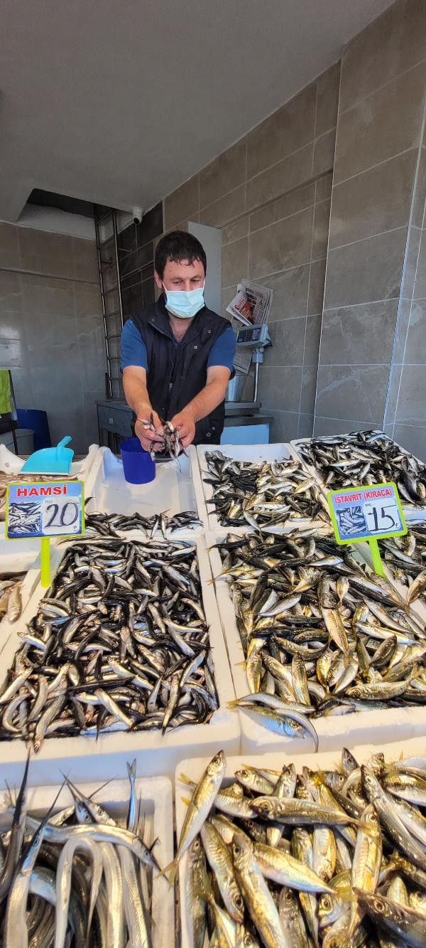 Tezgahlarda bolluk yaşandı balık ucuzladı! İşte fiyatlar... - Resim: 1