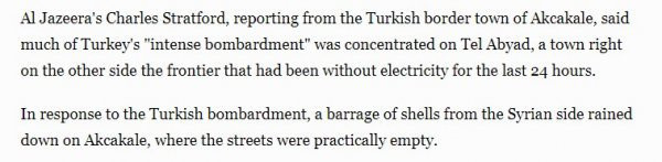 Dünya basınından Barış Pınarı yalanları pes artık - Resim: 1