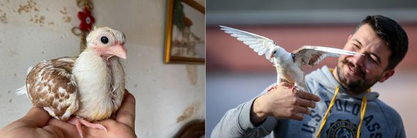 Bursa'da ölmek üzereyken kurtardı ünü Türkiye'ye yayıldı: Zibidiyi herkes merak edip, görmek istiyor - Resim: 1