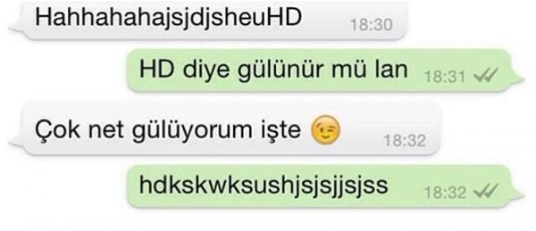 Whatsapp'tan 'Çıplak mısın' diye sordu öyle bir cevap aldı ki... - Resim: 4