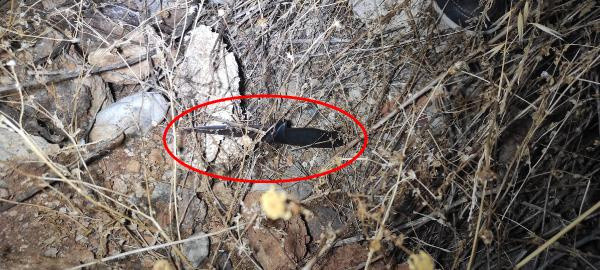 Antalya'da boğazından bıçaklayıp öldürdü! Olay anını anlattı: Bana sarılmaya... - Resim: 1