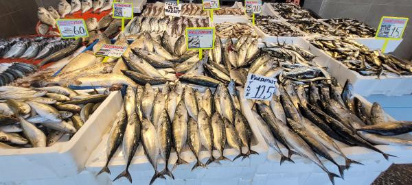 Tezgahlarda bolluk yaşandı balık ucuzladı! İşte fiyatlar... - Resim: 0