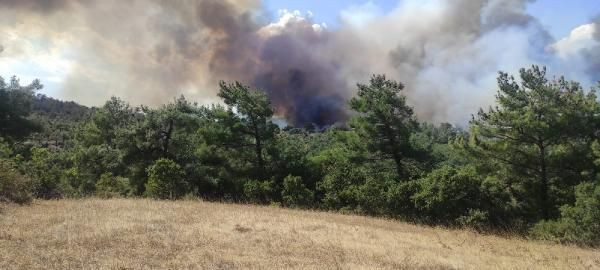 Çanakkale'de orman yangını! İnşaattan kıvılcım sıçradı - Resim: 3