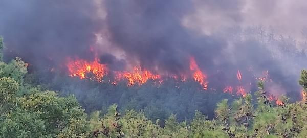 Çanakkale'de orman yangını! İnşaattan kıvılcım sıçradı - Resim: 2