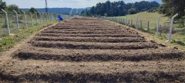 Kilosu 50 bin TL! Boğaziçi mezunu mühendis Karabük'te bu işe başladı - Resim: 3