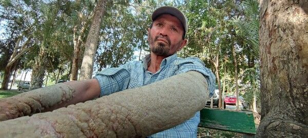 Sabah uyanınca fark etti hayatı kabusa döndü! Antalya'da onu gören kaçıyor! - Resim: 3