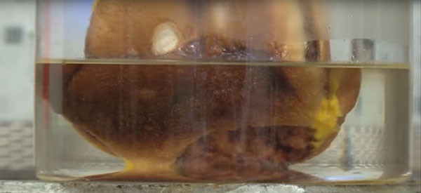 Hamburgeri 3,5 saat tuz ruhunda beklettiler sonrası mide ister - Resim: 4