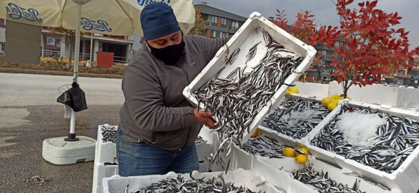 Düzce'de kampanya yaptı kilosu 5 TL'ye düştü! İnsanlar akın etti - Resim: 1