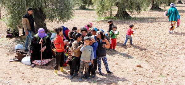 Afrin'den kaçanlar zeytinliklere sığındı... - Resim: 2