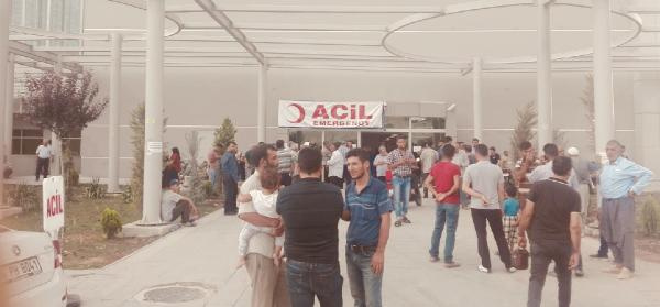 Fırat, iki kuzeni hayattan aldı! - Resim: 4