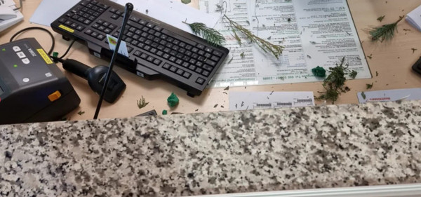 Yer: Avusturya! Ölüm haberini alan Türk aile dehşet saçtı: Sağlıkçılara saldırdılar - Resim: 1