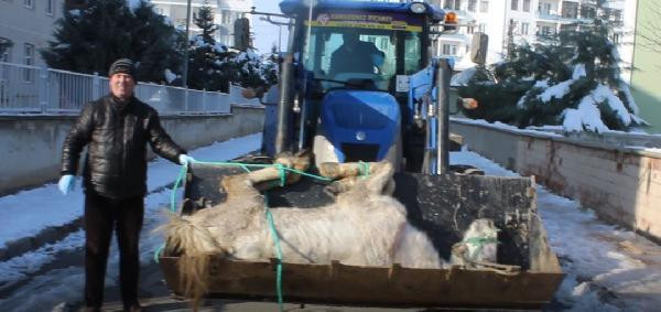 Çorum'da şoke eden olay! 'Artık istemiyorum' dedi ve... - Resim: 1