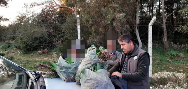 Antalya'da hayatının hatasını yaptılar! 160 bin TL ceza yediler - Resim: 0