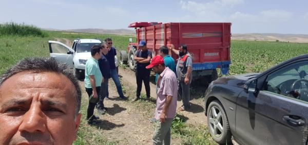 Çorum'da aslan var deniyor hayvanları da yemiş - Resim: 4