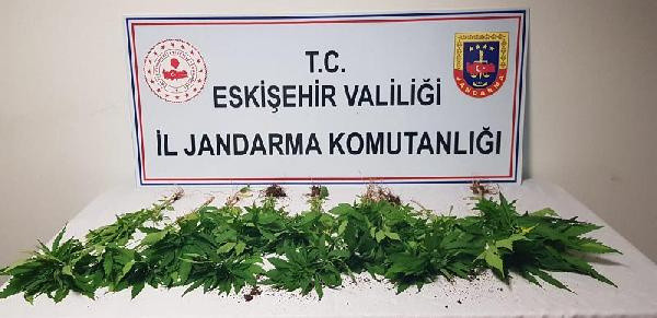 Eskişehir'de pes dedirten olay! Başkasının bahçesinde bu halde yakalandı - Resim: 0