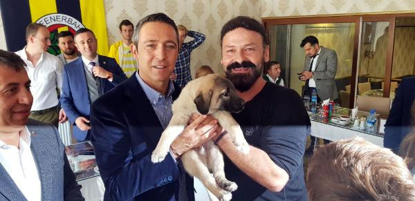 Ali Koç'a bir çift kangal köpeği yavrusu hediye edildi - Resim: 3