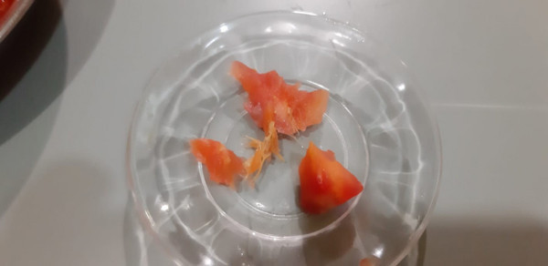 Bursa'da domatesin içinden çıkanları görünce şaşkına döndü! İğne gibi eline battı - Resim: 0