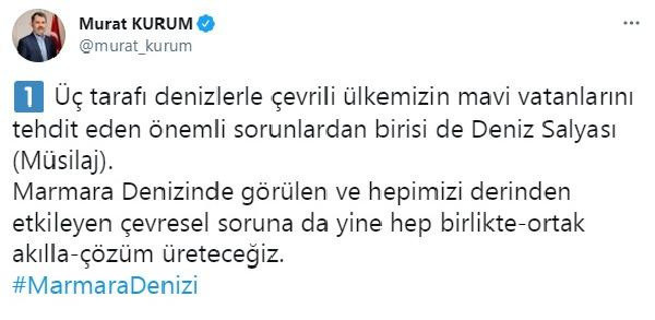 Bakan Murat Kurum: 300 kişilik ekibimizle Marmara Denizi'nde 91 noktayı denetliyoruz - Resim: 0