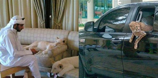 Dubai'nin zenginleri ve lüks hayatları! - Resim: 3