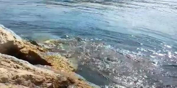 Ege'yi sarsan deprem sonrası korkutan görüntü! - Resim: 1