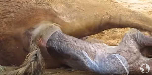 An be an görüntülendi onlar bir mucizeye şahit oldu - Resim: 2