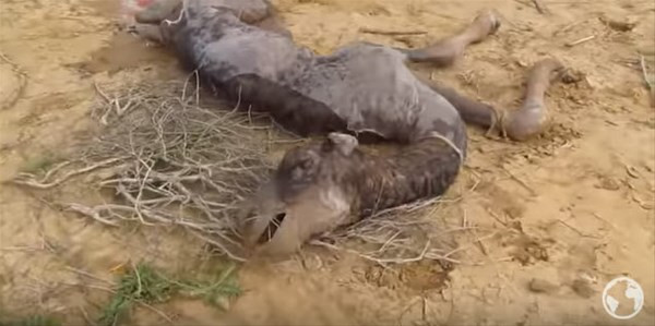 An be an görüntülendi onlar bir mucizeye şahit oldu - Resim: 3