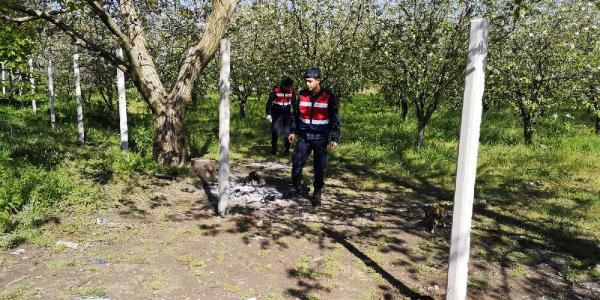 Bursa'da gencin ormanda vurulmasıyla ilgili yeni gelişme - Resim: 1