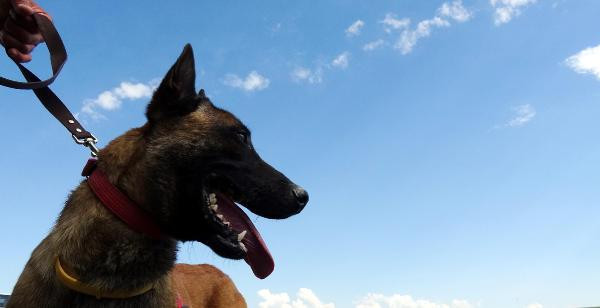 4 yaşındaki Leyla'yı arama çalışmalarında çok acı detay! - Resim: 2