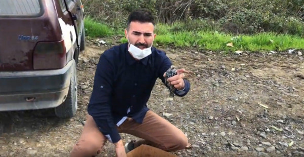 Sakarya'da karayolunda şok eden manzara! Onlarcası ölü halde bulundu - Resim: 1