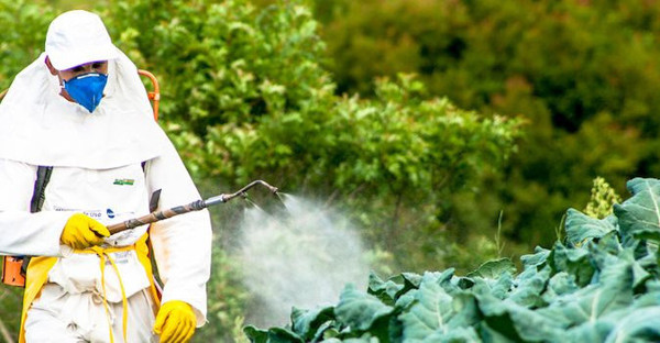 Kansere yol açıyordu! ABD'de artık yasaklandı - Resim: 1