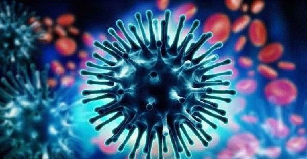 Bilim insanları gribin bugüne kadar hiç fark edilmeyen güvenlik açığını buldu - Resim: 1