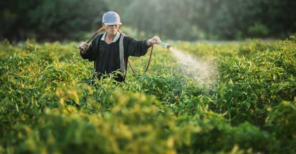 Kansere yol açıyordu! ABD'de artık yasaklandı - Resim: 2