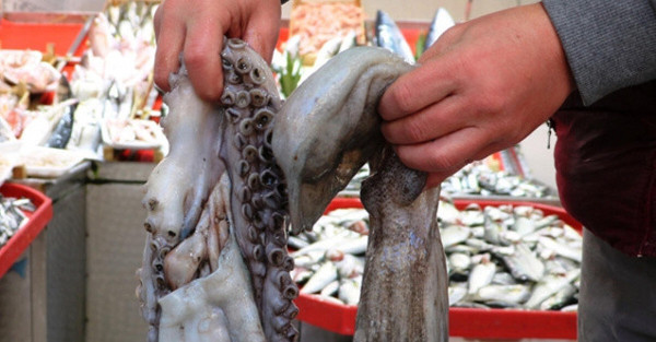 Zengin sofraların yiyeceğiydi! Kilosu 55 liraya düştü - Resim: 0