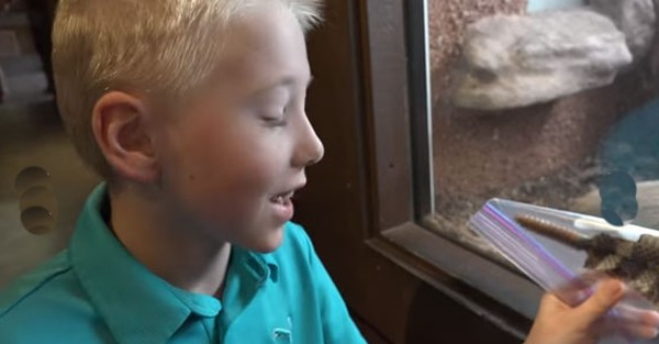 Çıngıraklı yılanın kuyruğunu açınca... - Resim: 2