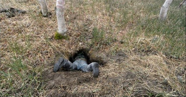 Başına ne geldiyse meraktan geldi deliğin içine girdi ve... - Resim: 1