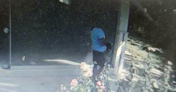 Azra Gülendam'ın katilinin eski kız arkadaşı konuştu: Bana da jiletle işkence yaptı - Resim: 0