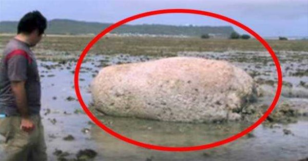 Görenler şoke oldu ordu alarma geçti hiçbir şeye benzemiyor - Resim: 3