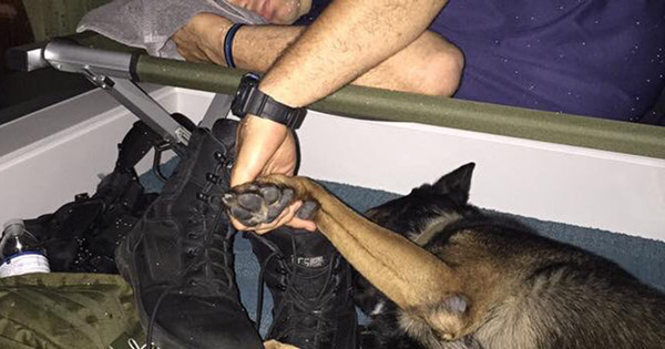 Polisin odasına gizlice girdiler gördükleri karşısında şoke oldular - Resim: 3