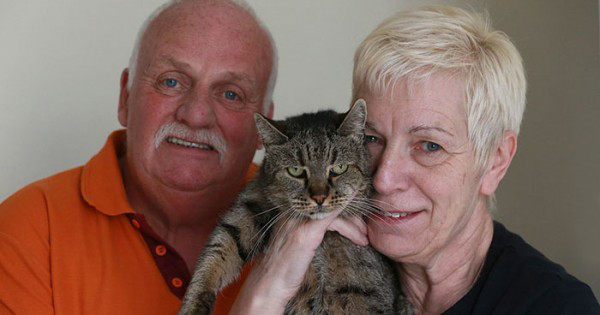 Dünyanın en yaşlı kedisiydi 144 yaşında öldü - Resim: 3