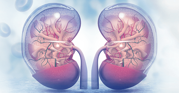 ABD'den yanlışlıkla başka bir hastaya böbrek nakledildi - Resim: 1