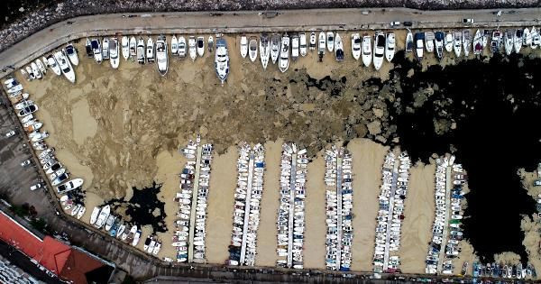 Kabus sürüyor! Mudanya Yat Limanı deniz salyasıyla kaplandı korkunç görüntüler - Resim: 1