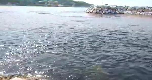 Ege'yi sarsan deprem sonrası korkutan görüntü! - Resim: 4