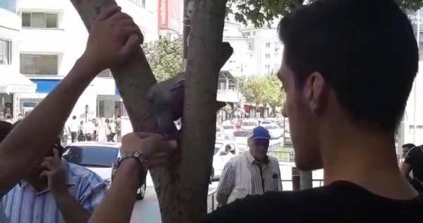 Herkes bunu konuşuyor elleriyle içirdi - Resim: 1