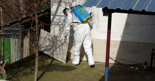 Şarbon paniği! Sığırı kesip mahalleliye dağıttı sonra... - Resim: 1